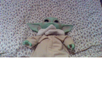 STARWARS FAN CLUB AND BABY YODA