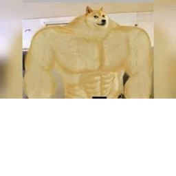 doge fam icon