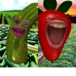 DOLZ TIGS
