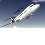 Duck Fly