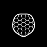turtleJet