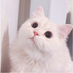 ୨୧