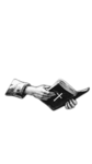 † Tempest †