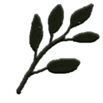 Leafy Green Games