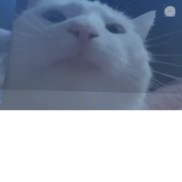 crazy vibe cat game icon