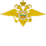 Общероссийское оружие