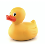 Mr Duck Studios