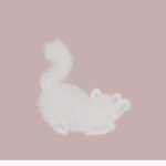 xox.bear.rblx