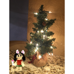 Christmas cat cuties