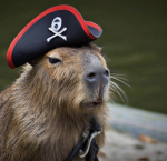 Tropa Da Capybara br