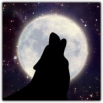 Born Wild: Wolves V3