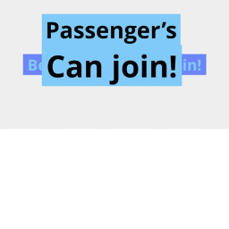 Blue Star Airlines: Training