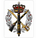 - The Danish Royal Lifeguards -