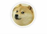 (Doges only) the doge gang