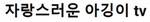 자랑스러운 아깅이 tv