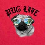 Pugs great group