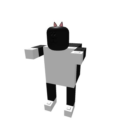 Model 19