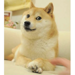 DOGE_ROBLOX BY:BLOCKZER