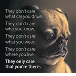 The Pug Squad boi :3