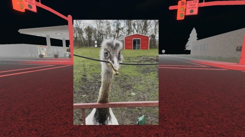 Kill The Mythical Bird