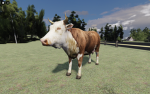 Giurgiu Romania Roleplay