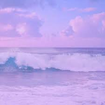 Moonlight Coral