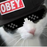 Olli's Fan Group