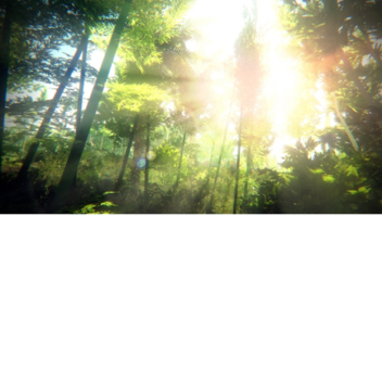 The Forest Hangout