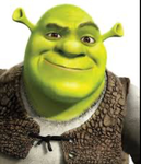 Crazy Shrek Lady Group