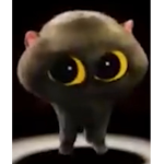 Hamzaaaaa