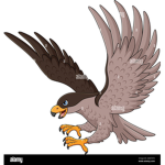 HawkSprinters