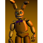 Springboi group