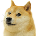 ####!!!