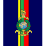 Pharmacy's British Armed Forces