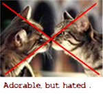 OnlineDater Haters