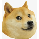test ###########