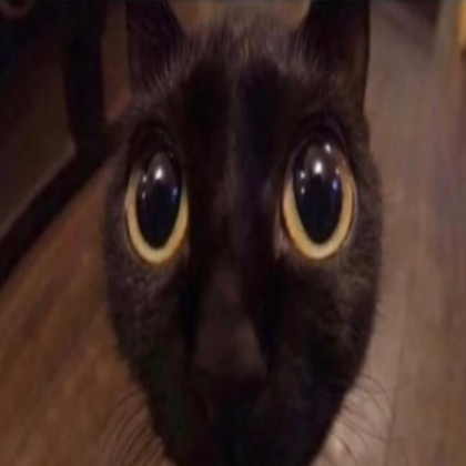 black cat Roblox decal