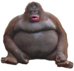 MMONNKE