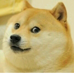 DOGE