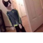 Eshayy Cat Lebob