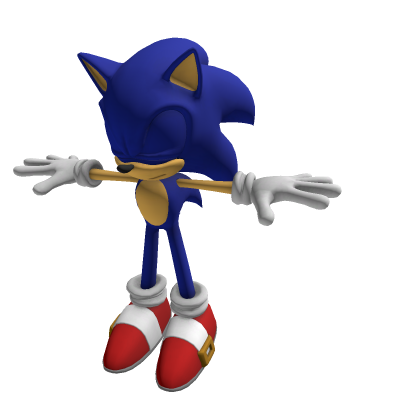 sonic rig