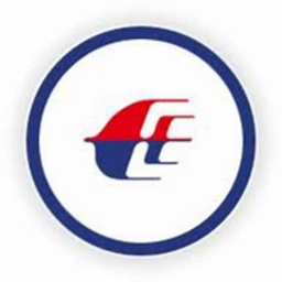 The Great Airlines