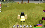 One piece/Blox fruits Fans