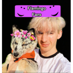 Flamingo Fans シ