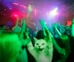 My group <3 btw I love cats