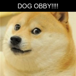 Dog Obby
