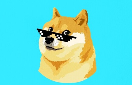 WaTeR DoGe YT obby