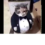 The uhhh