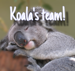 Koala’s team