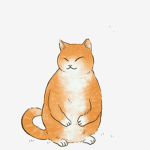 Timi kitty time